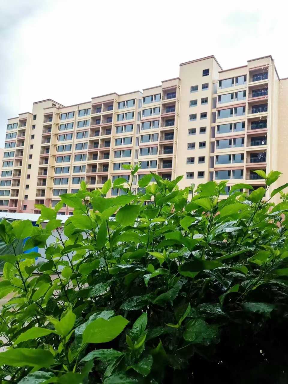 億豐花園 1-5房 均價3700