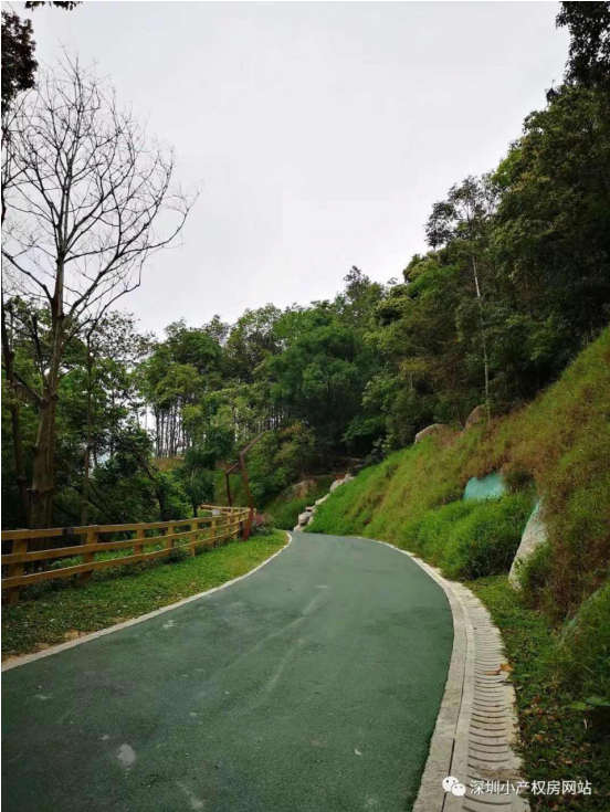 56.8萬入手龍華山水綠園村委統(tǒng)建樓，還在等什么？