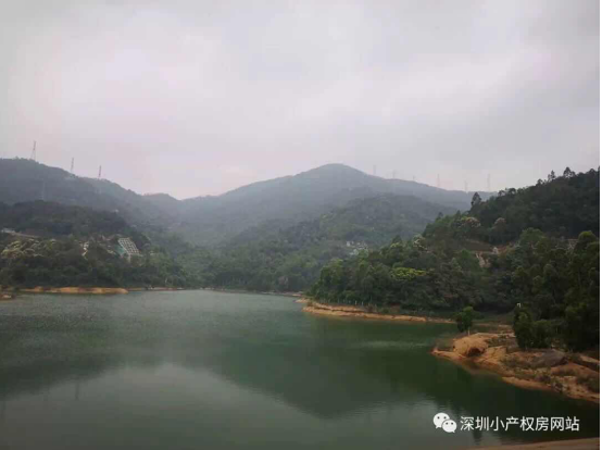 56.8萬入手龍華山水綠園村委統(tǒng)建樓，還在等什么？