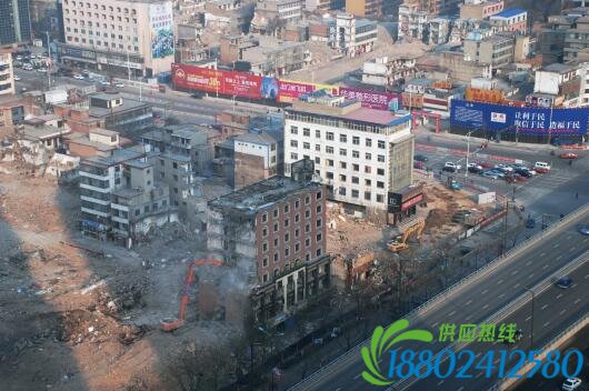 云波社區一共有五個城中村改造項目在進行