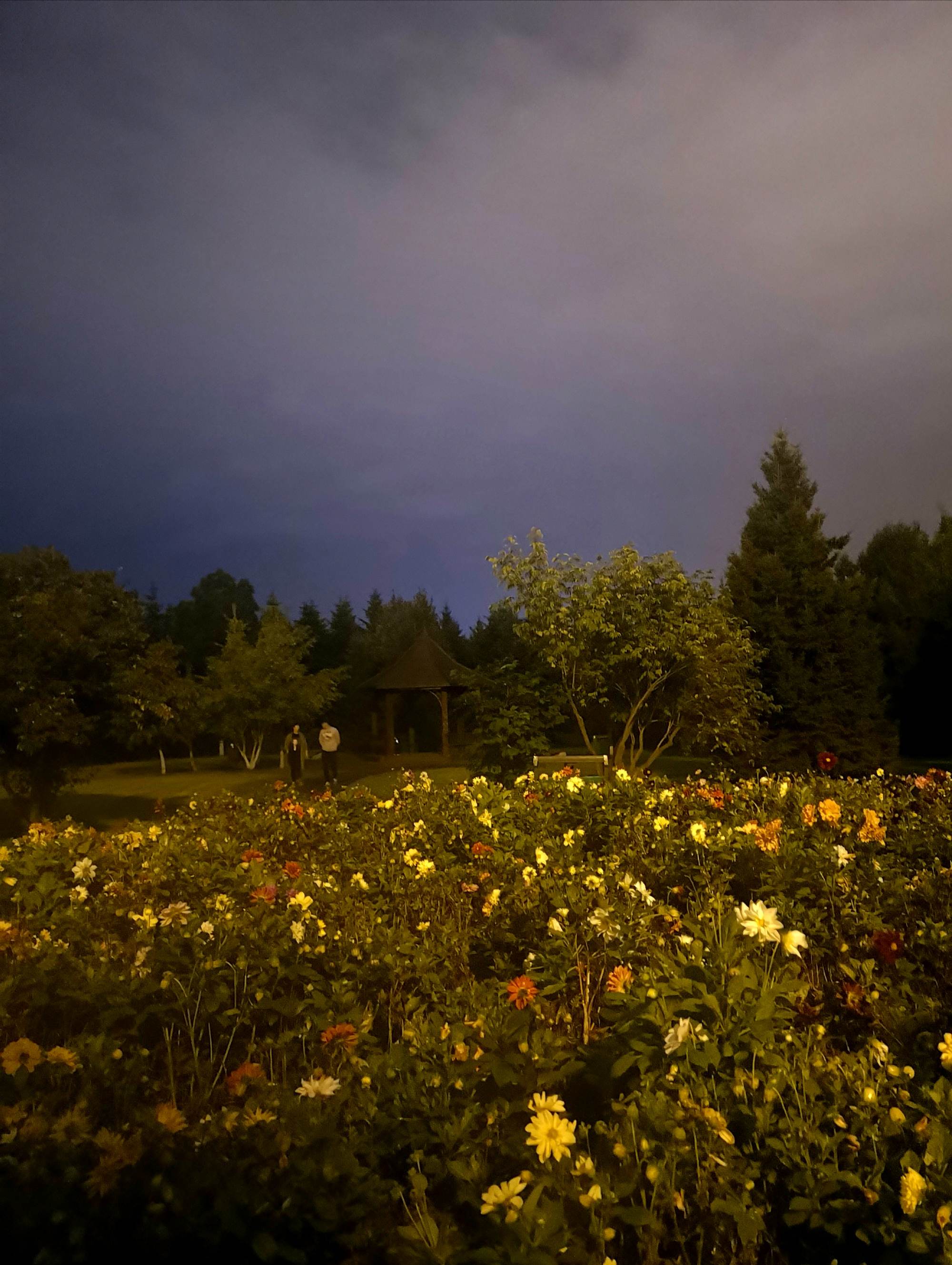 是五環外最不為城內人所知的城市邊緣