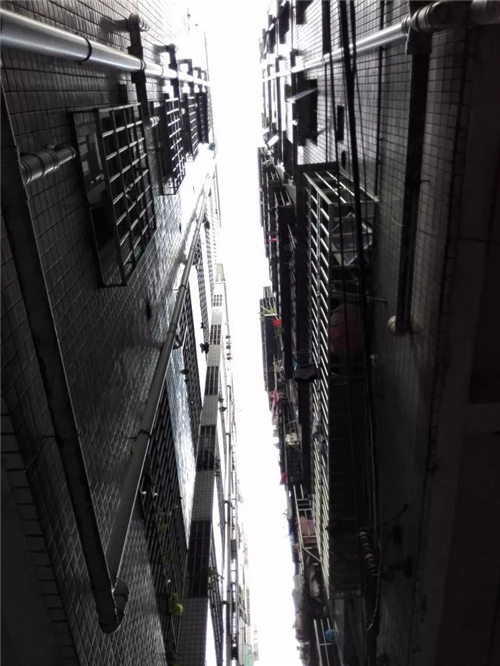 田心村的整體環境和居住條件大幅改善