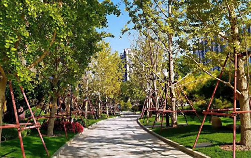 附近有東北師范大學(xué)附屬中學(xué)朝陽學(xué)校