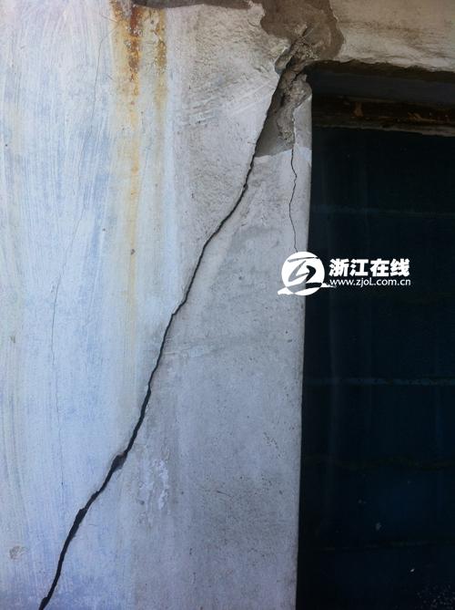 樹齡應該比學校的歷史還長